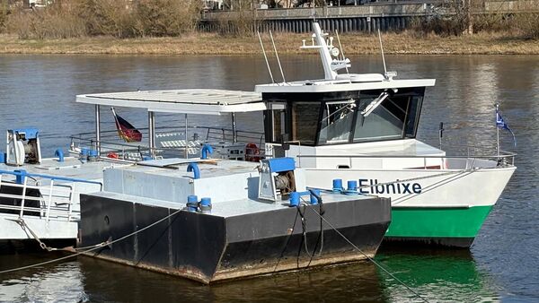 Elbnixe bei ihrem Zwischenstopp in Magdeburg | Foto: Rene Lindner