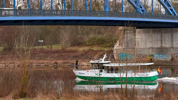 Die Elbnixe in Riesa | Foto: Silvan Hesse